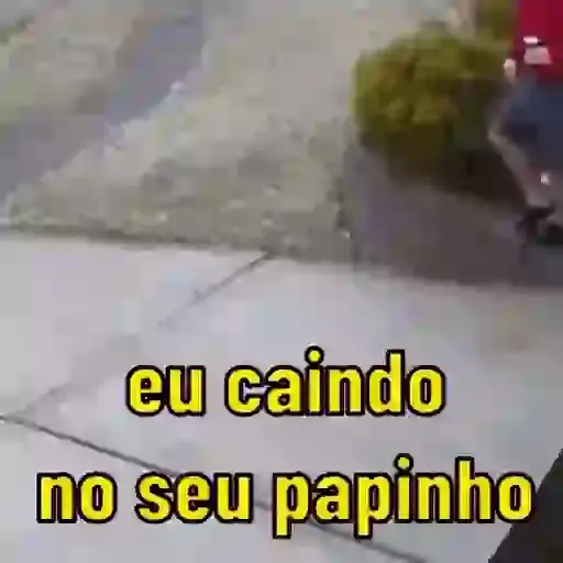 Meme de Gatos e Ações — 3