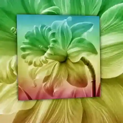 Flores Coloridas — 4