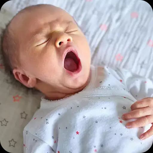 Caras de Bebés Emocionales — 3