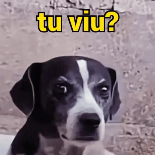 Cachorrinhos Engraçados — 4