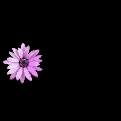 Coleção #181 — 2