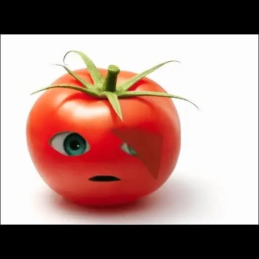 Tomates Sentientes — 1