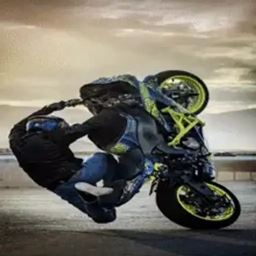 Radical Motorcycles — 2