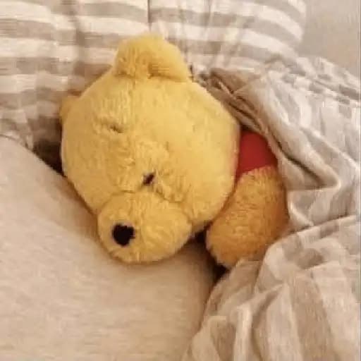 Winnie Pooh Relaxing — 4