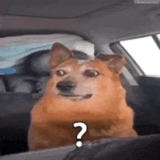 Perros Confundidos — 3