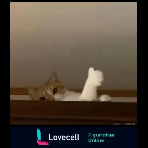 Gatos Engraçados — 4