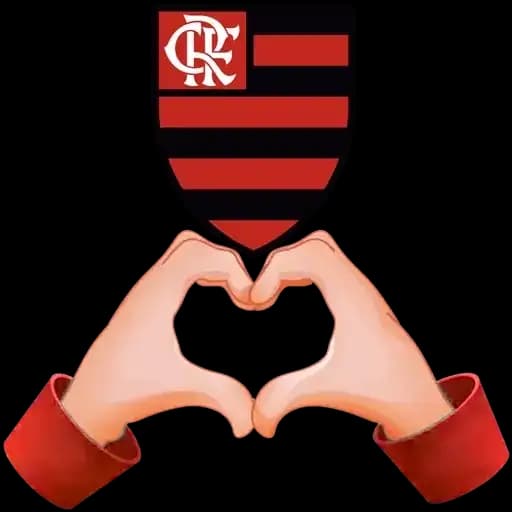 Flamengo in Love — 3