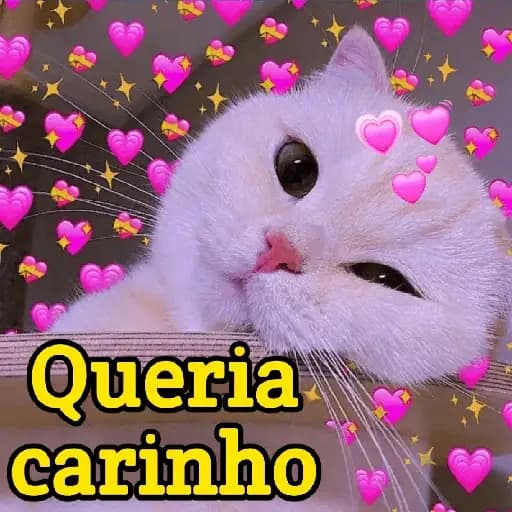 Cats and Hearts — 1