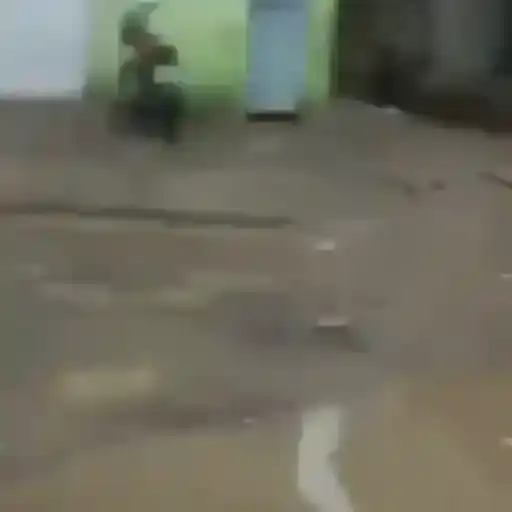 Dançantes Engraçados — 4