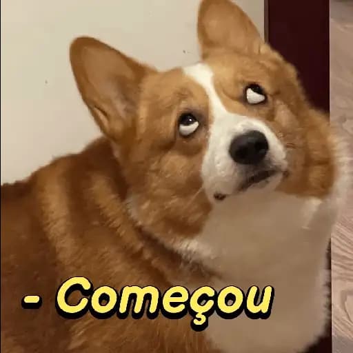 Cachorros Confusos — 2