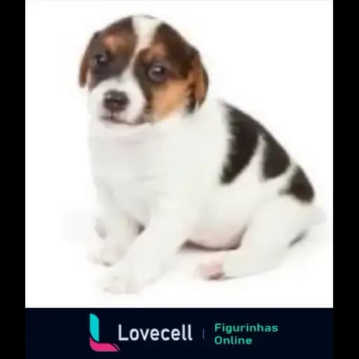 Cute Dogs — 3