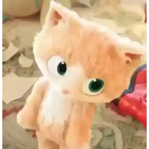 Funny Cats — 2