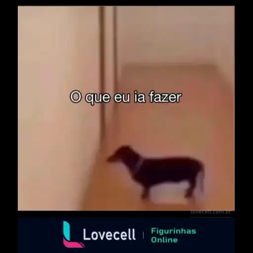 Perros Lindos — 4