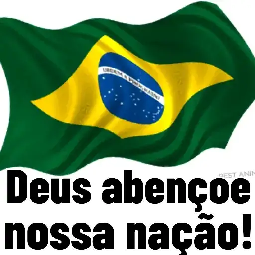 Bandeira do Brasil Bom Dia — 4