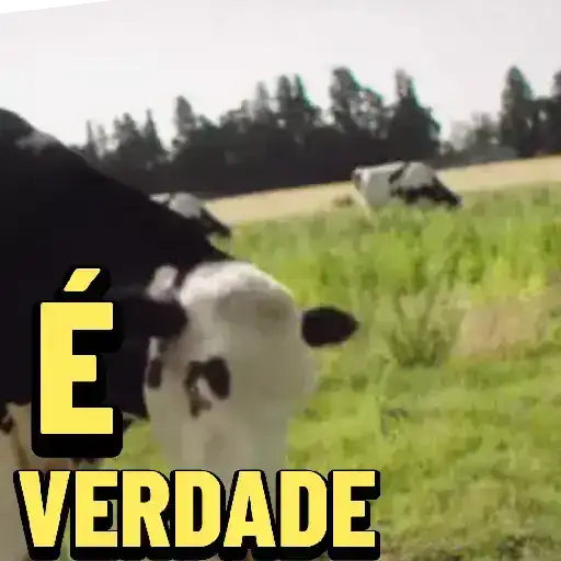 Vacas y Toros Meme — 4