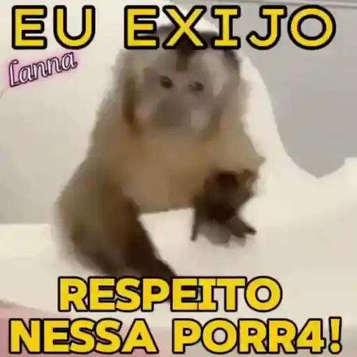 Macaco Exigente — 2