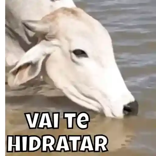 Vacas y Toros Meme — 2