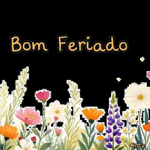 Flores de Boas Desejas — 2