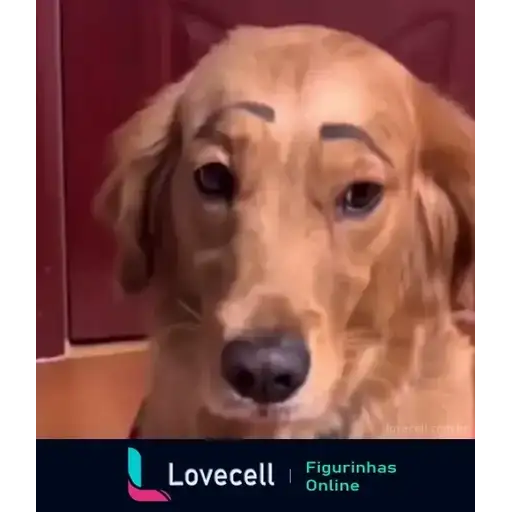 Cachorros Fofos — 3