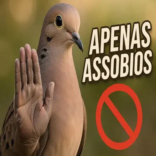 Pombo Não — 1
