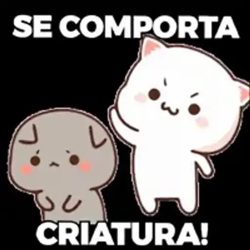Cachorros e Gatos Apaixonados — 1
