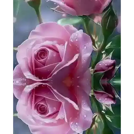 Romantic Roses — 3