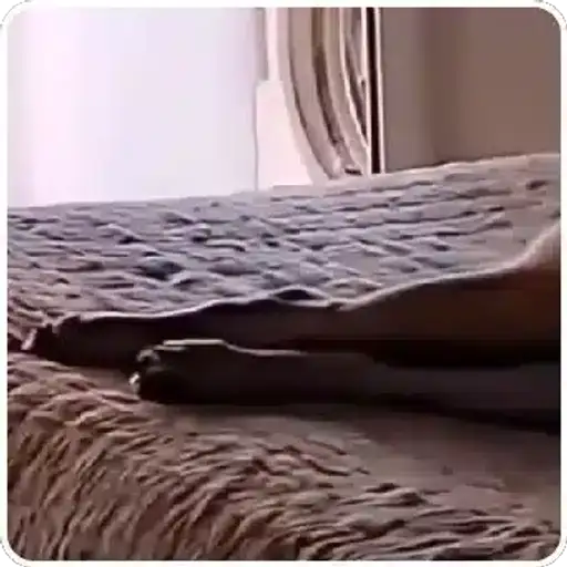 Couple Scenes in Bedroom — 3