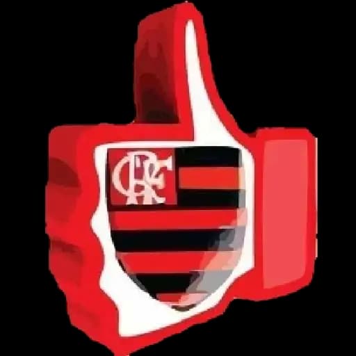 Flamengo in Love — 2