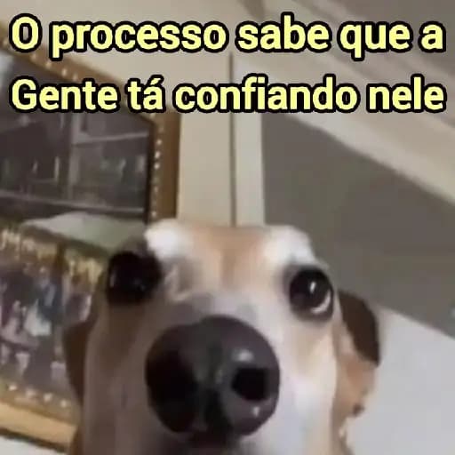 Perros Divertidos — 1