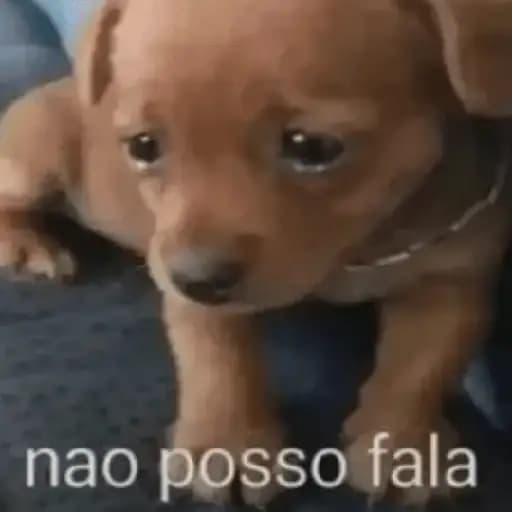 Perro Cachorro Tierno — 1