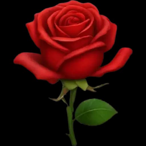 Colorful Roses — 4