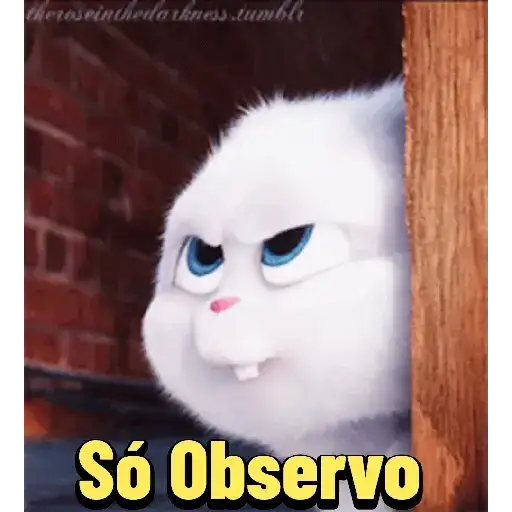 Conejo Malvado de Zootrópolis — 3