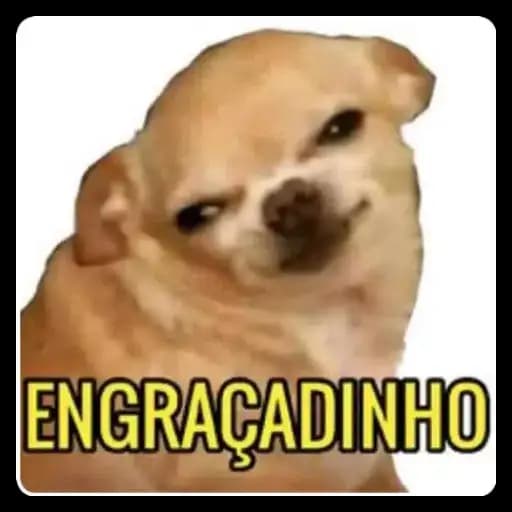 Perros Divertidos — 3