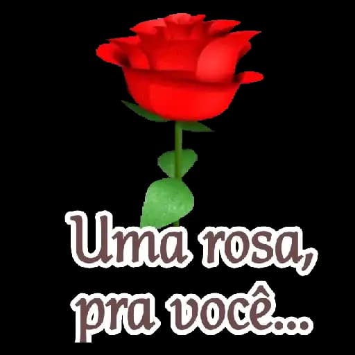Rosas de Amor — 1