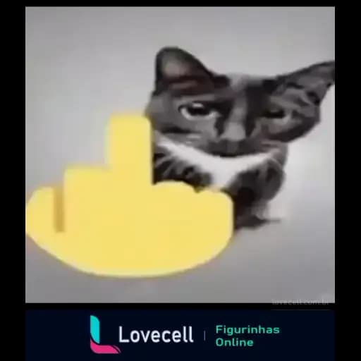Funny Cats — 4