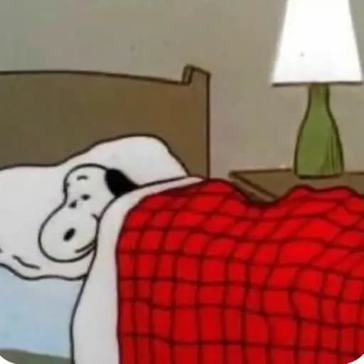 Peanuts Characters — 3