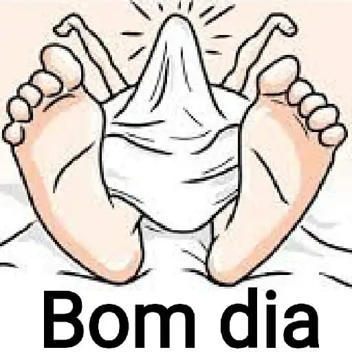 Bom Dia Animados — 3