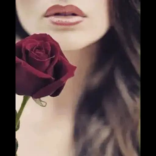 Rosas y Belleza — 4