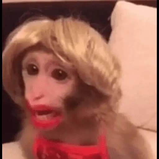 Chica Lo-Fi — 4