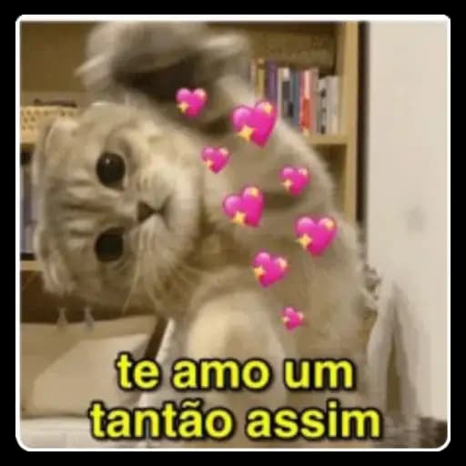 Gatos y Corazones — 2