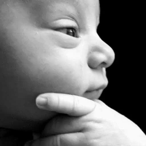 Caras de Bebés Emocionales — 1