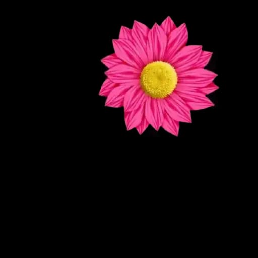 Good Afternoon Love — 3