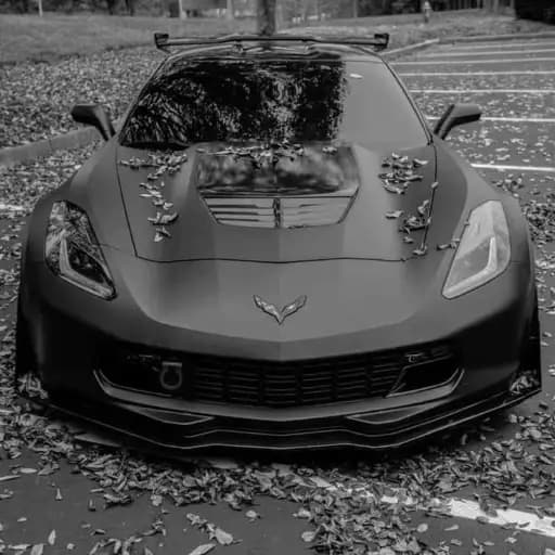 Carros Corvette Personalizados — 4