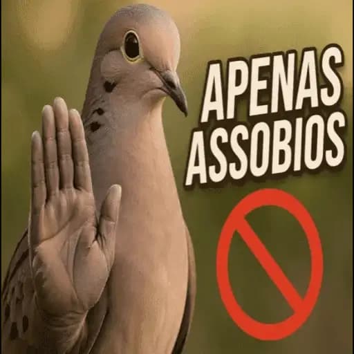 Pombo Não — 4