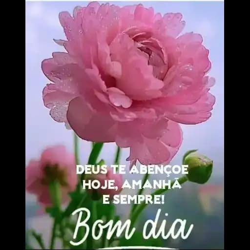 Buenos Días Religiosos — 4