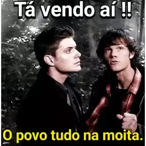 Meme do Luan Santana — 2