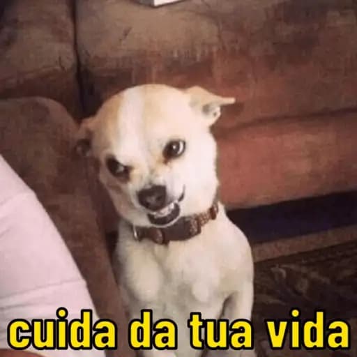 Perros Divertidos — 2