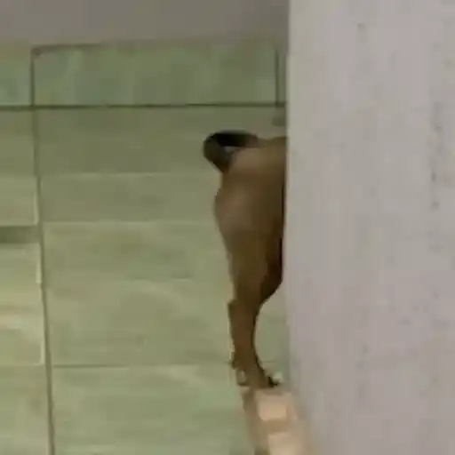 Coleção #139 — 3