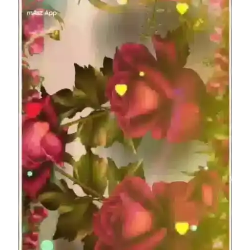 Romantic Roses — 4