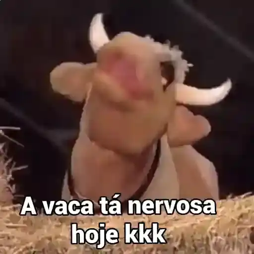 Vacas y Toros Meme — 3